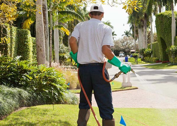 About Truth Or Consequences NM Pest Control
